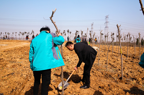 “攜手植樹(shù)，共創(chuàng)藍(lán)天”丨南京新華師生共筑新華育才林