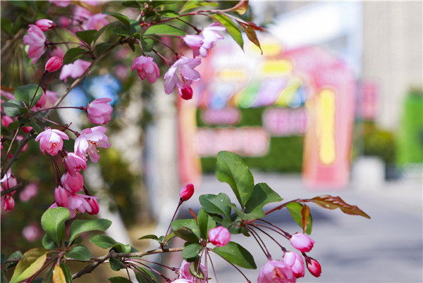 校園開(kāi)放日初體驗(yàn)，帶你走進(jìn)南新，走進(jìn)互聯(lián)網(wǎng)