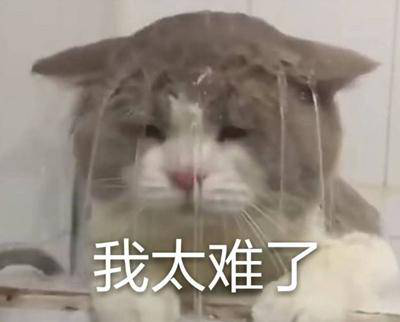 勁爆！新華電腦教育服務(wù)旗艦店正式入駐天貓，課程1折秒殺！