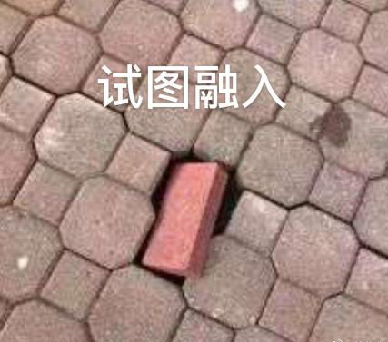 新華互聯(lián)網(wǎng)科技正式入駐Bilibili！會(huì)摩擦出什么樣火花呢？